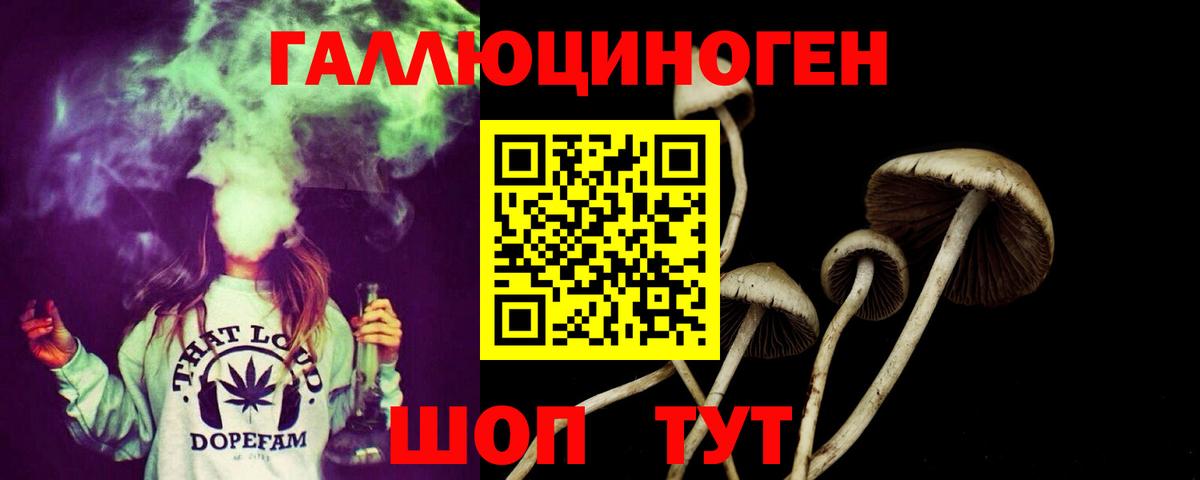 Галлюциногенные грибы GOLDEN TEACHER Брянск