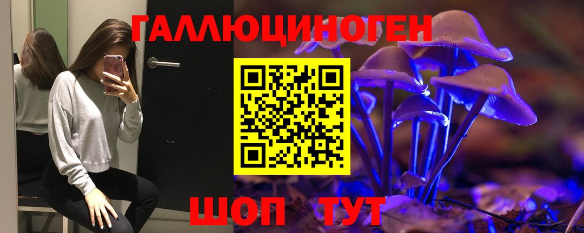 Галлюциногенные грибы Psilocybe  Вход с VPN  Брянск  Галлюциногенные грибы Cubensis 